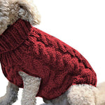 🔥Tenemos la mejor ropa de invierno para tu cachorro!🔥
